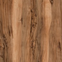 Столешница 1U 3050*600*38 R3 Кроношпан 2087 CR Индийский шишам