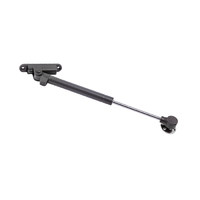 Газлифт 60N с доводчиком серый AKS PLUS  66734 (новый код 115566)