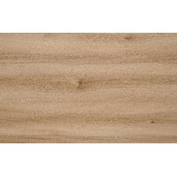 СФ ПФ38мм Вяз 1200 №146 мт