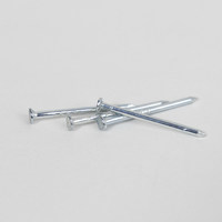 Гвозди 1.6*25 цинк (1уп.5кг) (1кг2500шт) AKS  34399