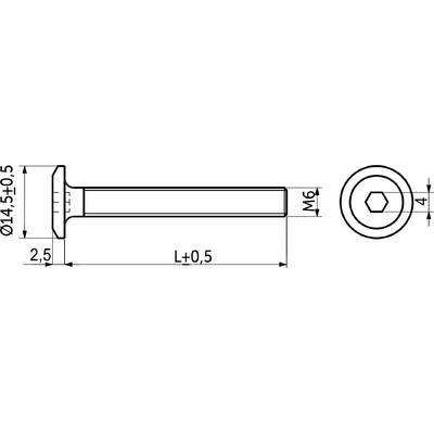 Винт с плоской головкой М6*25 под шестигранник, полная резьба, белый цинк (1уп20 шт) AKS 93515