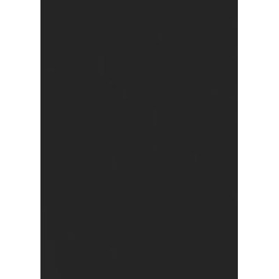 ДСП Лам. 16мм Черный шунгитовый 1с. S01 (2,8х2,07)