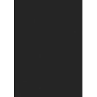 ДСП Лам. 16мм Черный шунгитовый 1с. S01 (2,8х2,07)