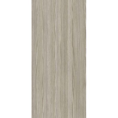 ДСП Лам. 16мм Сосна Липецкая серебристая  1с W01  (2,8х2,07)