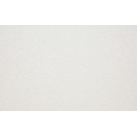 СФ ПФ28мм Белый перламутр №38