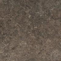 СФ Кромка Аламбра темная №289 - выведено