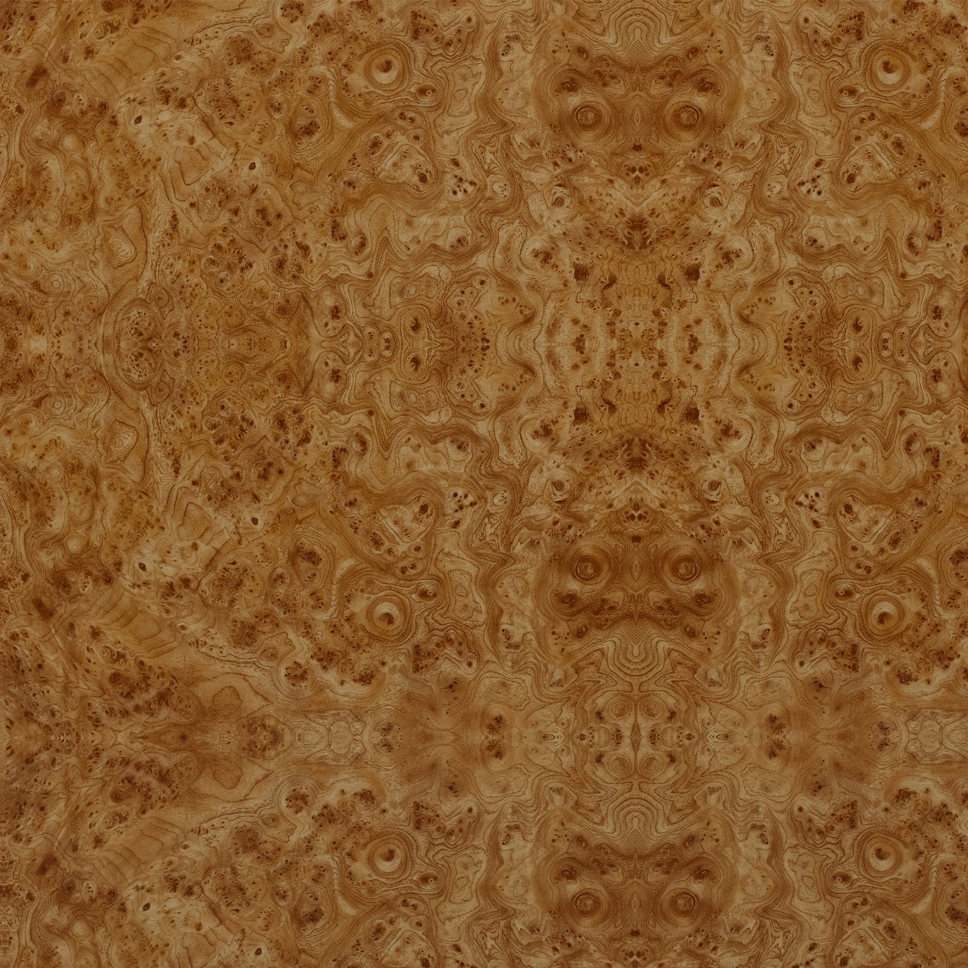 СФ Кромка Корень вяза №167 (50мм)