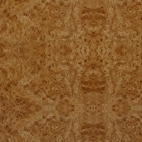 СФ Кромка Корень вяза №167 (50мм)