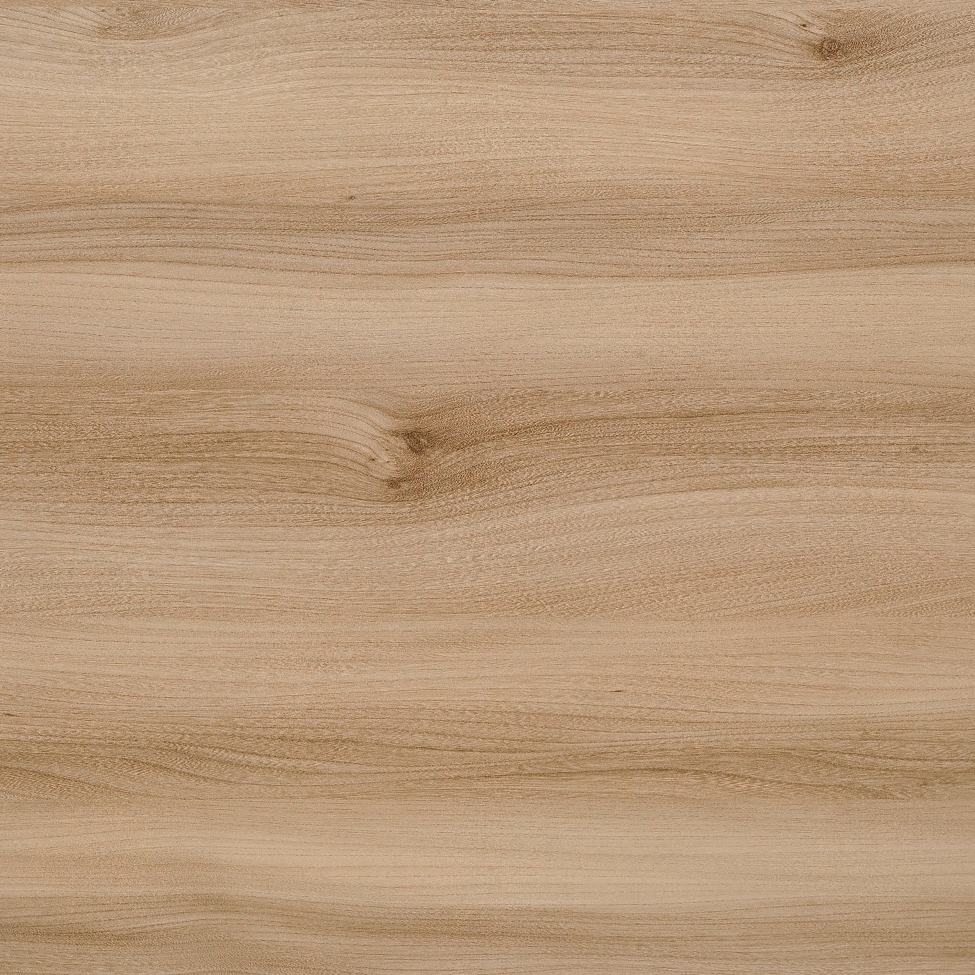 СФ ПФ38мм Вяз 700 №146