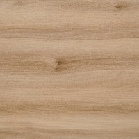 СФ ПФ38мм Вяз 700 №146