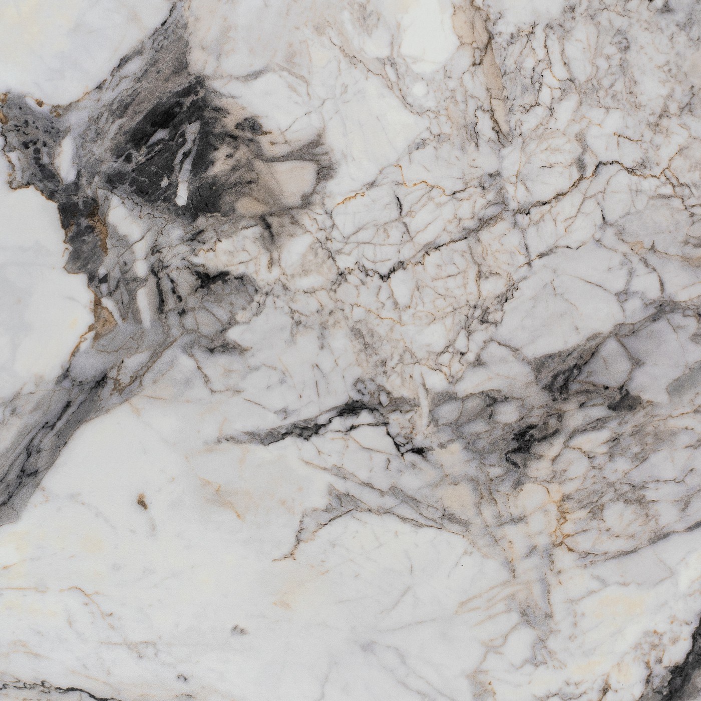 СФ ПФ38мм Альберика 800 №189