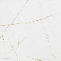 СФ ПФ38мм Белый каспий 800 №76