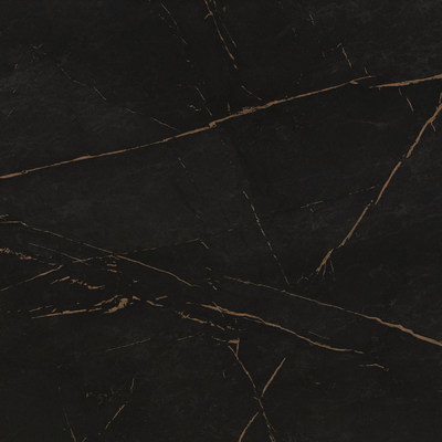 СФ ПФ Каспий черное золото 800 №73 (38мм)