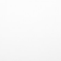 СФ ПФ38мм Белый 800 Два завала №10 гл