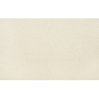 СФ ПФ38мм Бежевый металл №143А - выведено