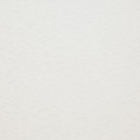 СФ ПФ28мм Белый перламутр №38 БРАК