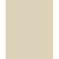 МДФ16мм Бежевый  (0522PE) 1с. облегченный 2х-стор.(2,8х2,07) КР(Калуга) 20061М