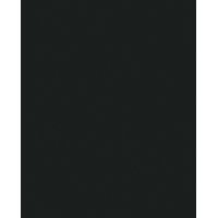 МДФ16мм Черный  (0190PE) 1с. облегченный 2х-стор.(2,8х2,07) КР(Калуга) 20061М