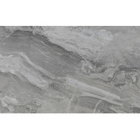 СФ ПФ38мм Паладина серая 700 №262 Гл