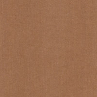 Фернандо беж