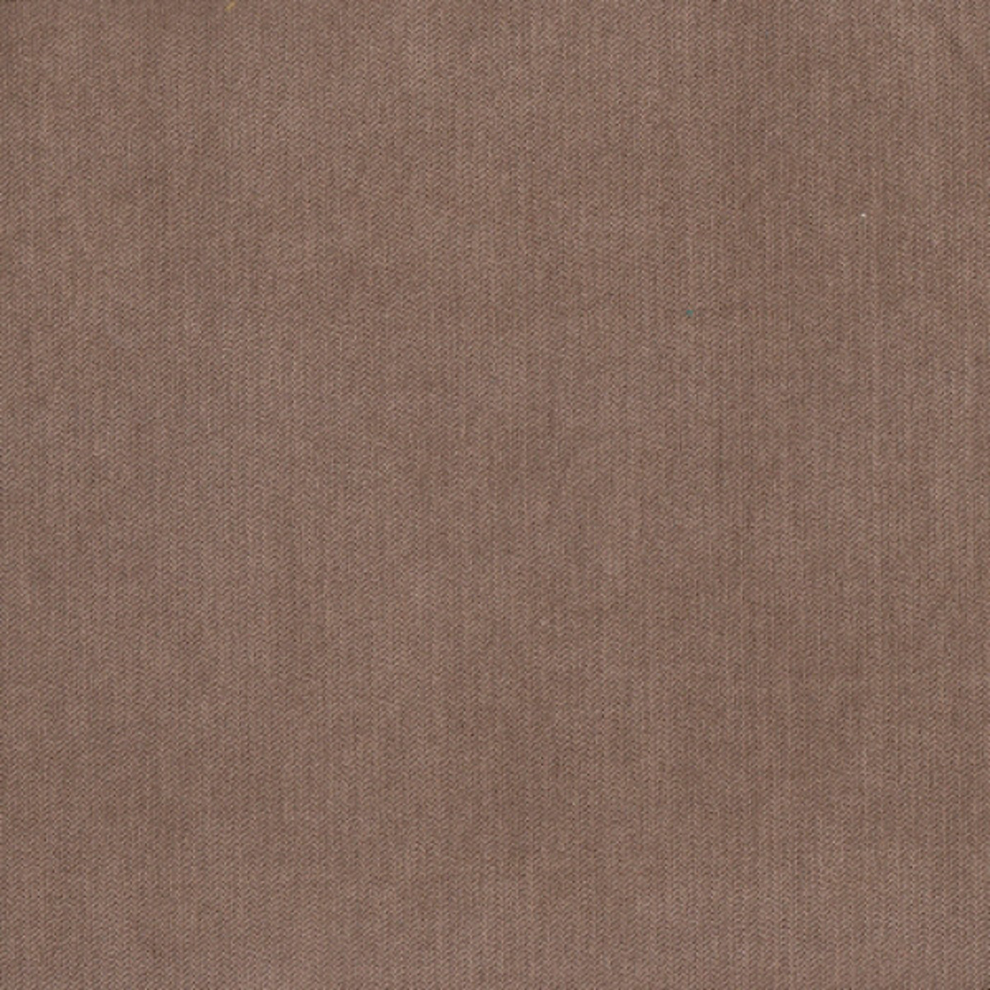 Фернандо латте