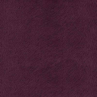 Гаваи виолет