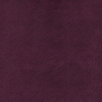 Гаваи виолет