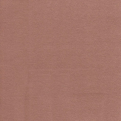 Феникс корица