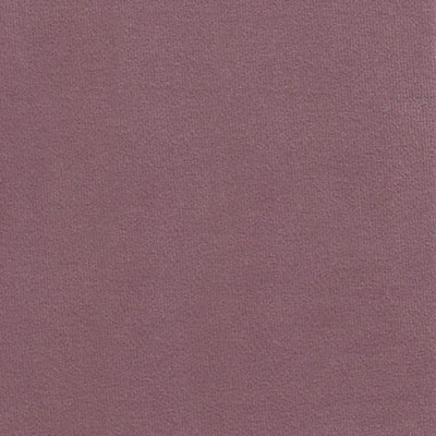 Феникс лилак