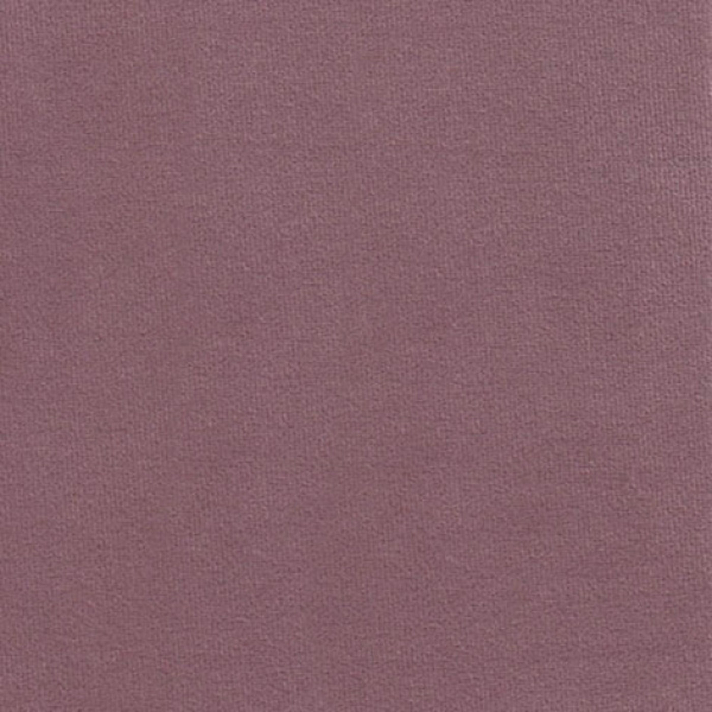 Феникс лилак