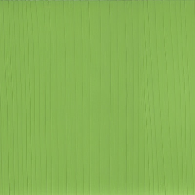 Пленка Риф салатовый ПВХ 3055-612 (0,25х1400мм) Корея