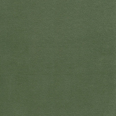 Феникс олив