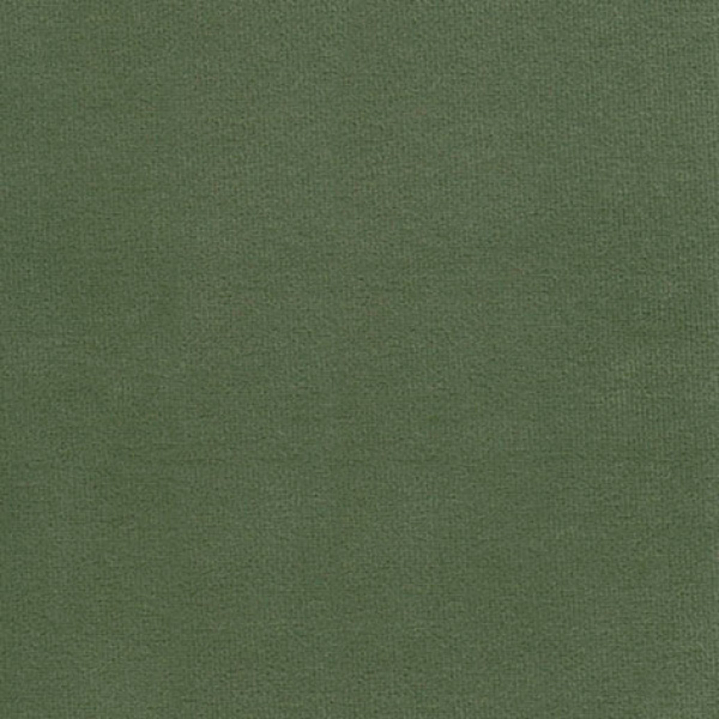 Феникс олив