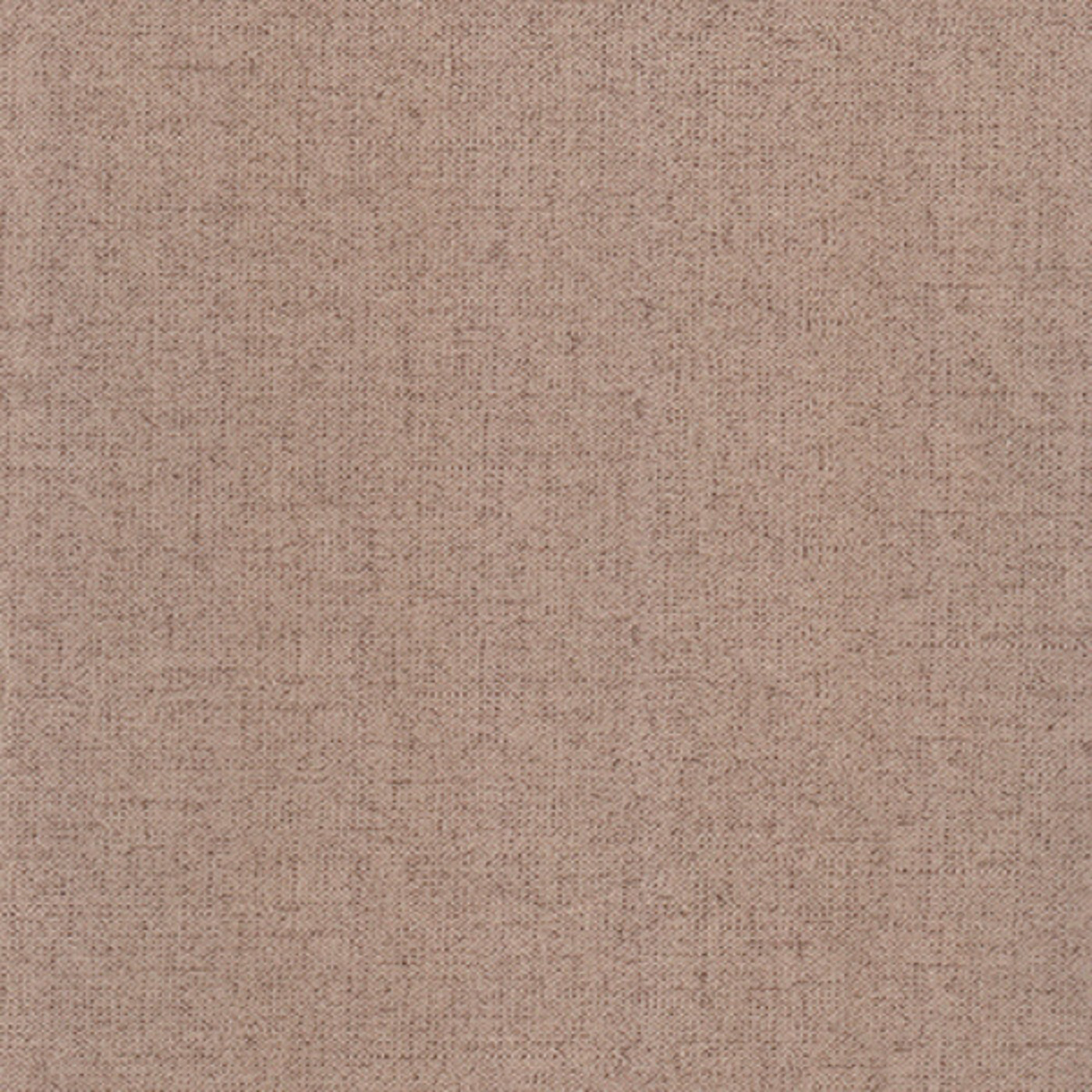 Монтана кэмел