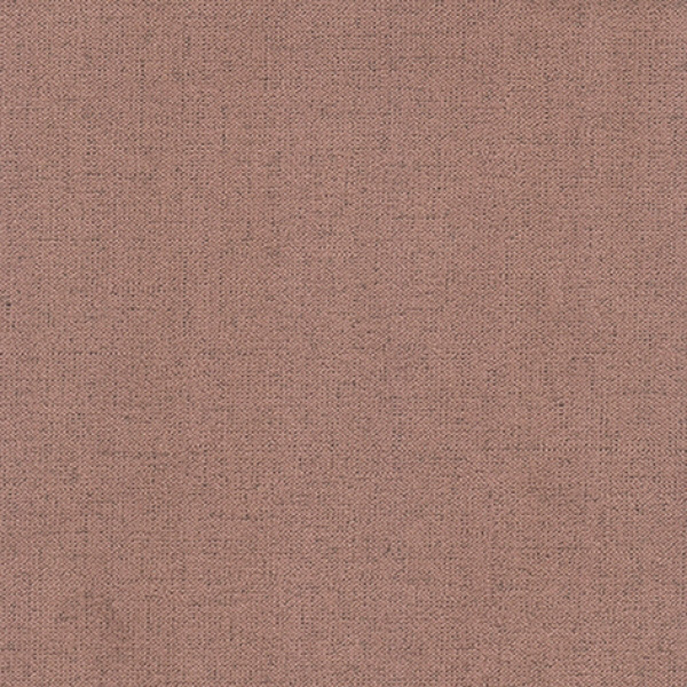 Монтана корица