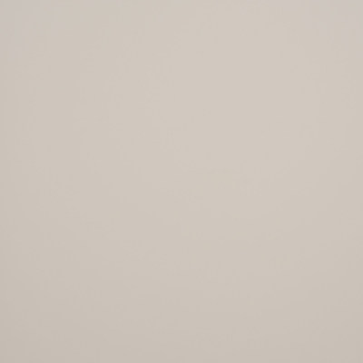 Пленка Монохромный светло-бежевый ПВХ  200979 (0,4) Китай