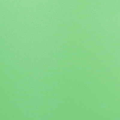 Пленка Эвкалипт ПВХ 12091 (0,4х1400мм) Корея