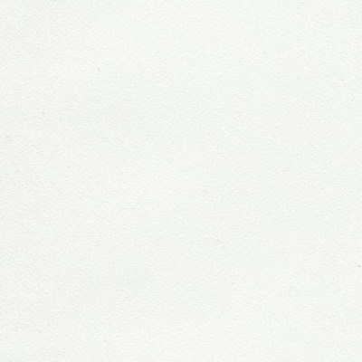 Пленка Белая шагрень ПВХ 4101 (0,23х1400мм) Корея