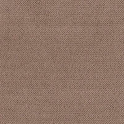 Аспендос кэмел