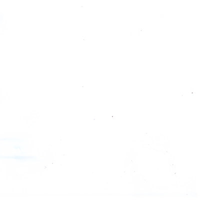 Пленка Осина белая 5034