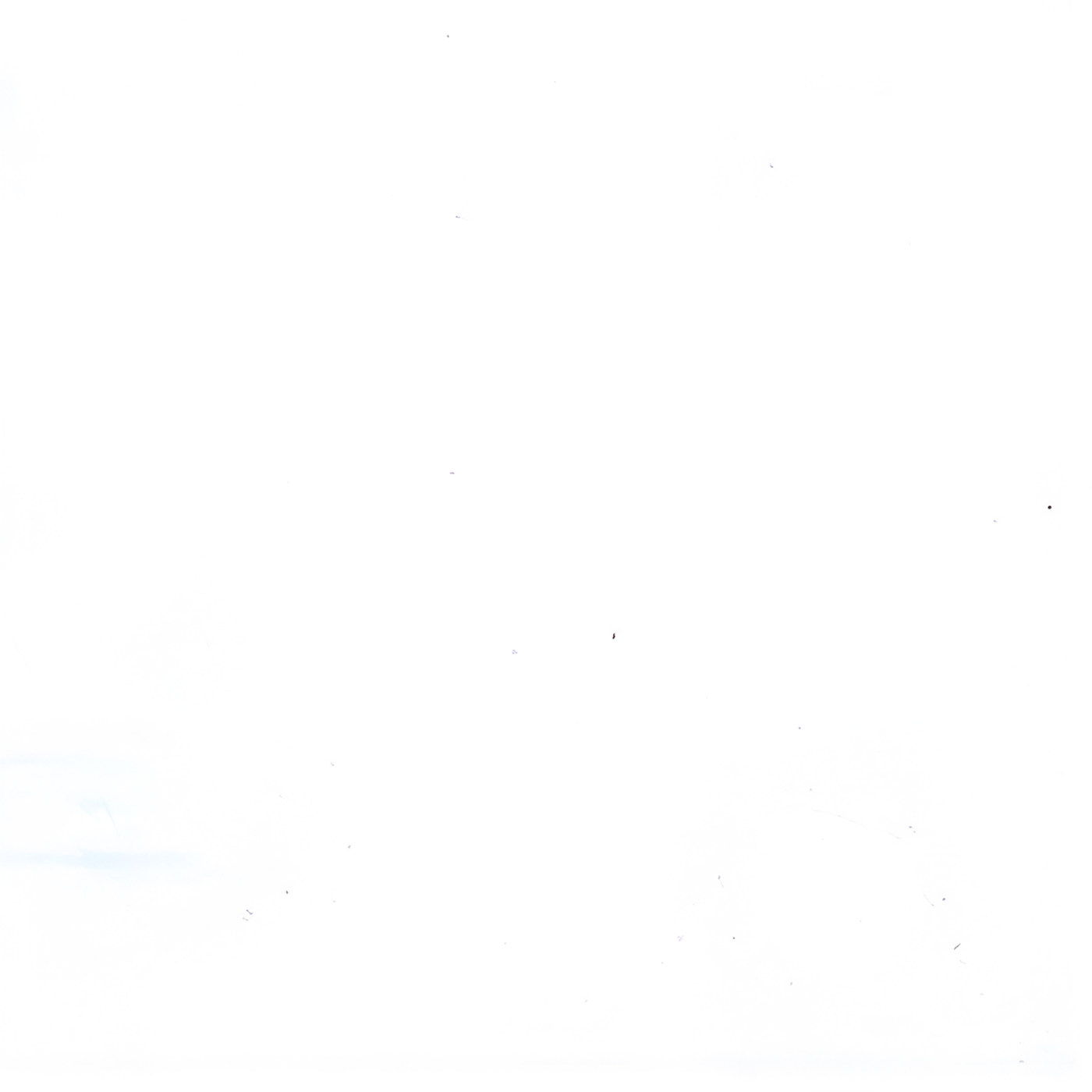 Пленка Осина белая 5034