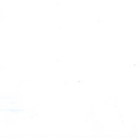 Пленка Осина белая 5034