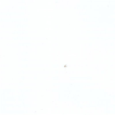 Пленка Белый глянец 0019003G