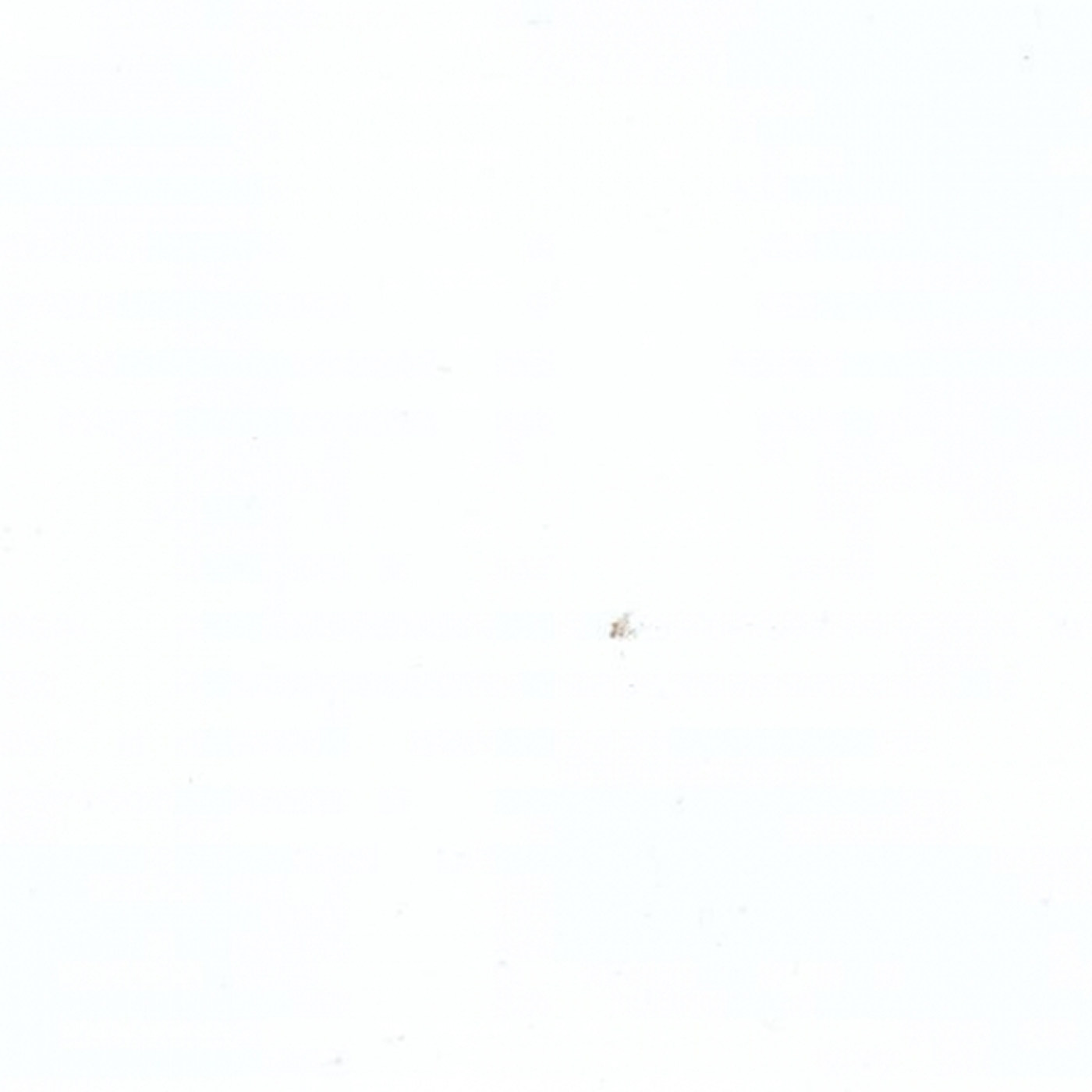 Пленка Белый глянец 0019003G