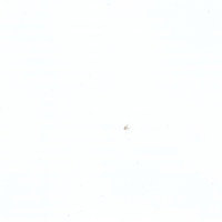 Пленка Белый глянец 0019003G