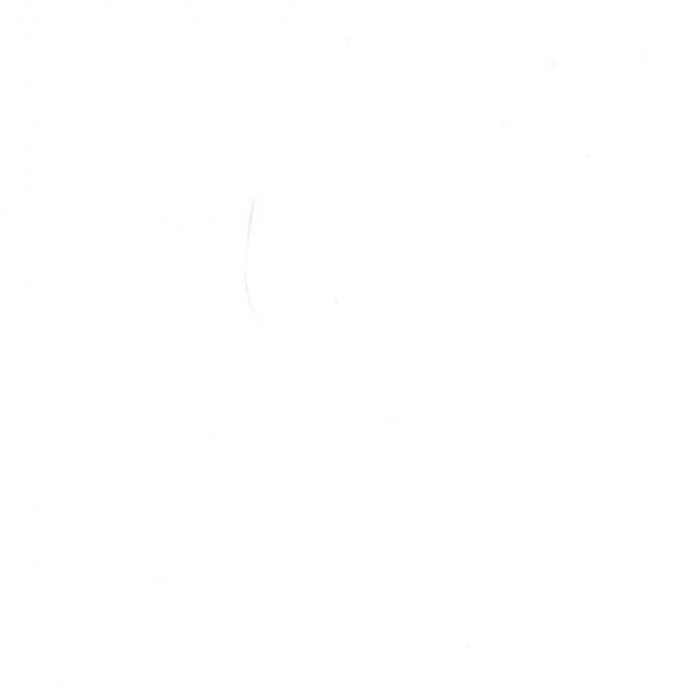 Пленка Белый глянец арктика 3004