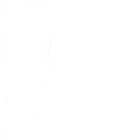 Пленка Белый глянец арктика 3004