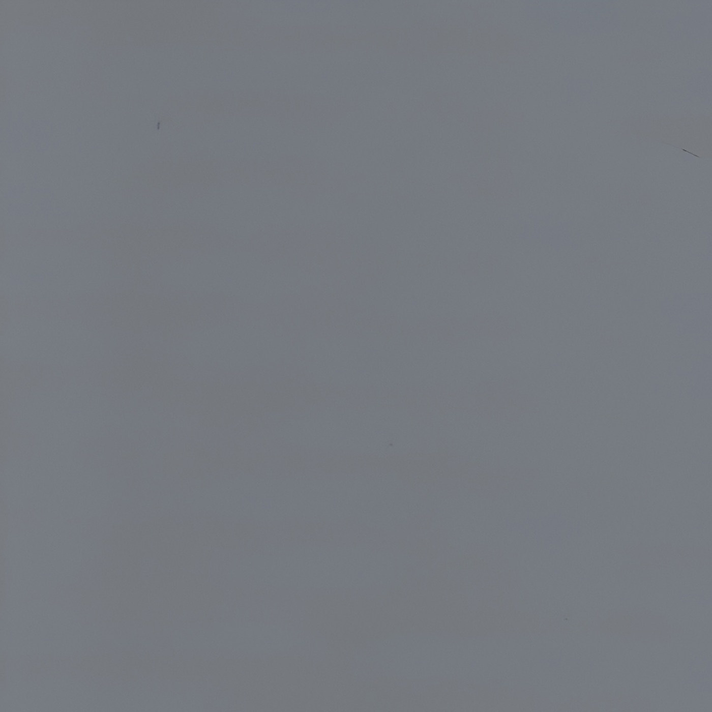 Пленка Бархат стил 87570