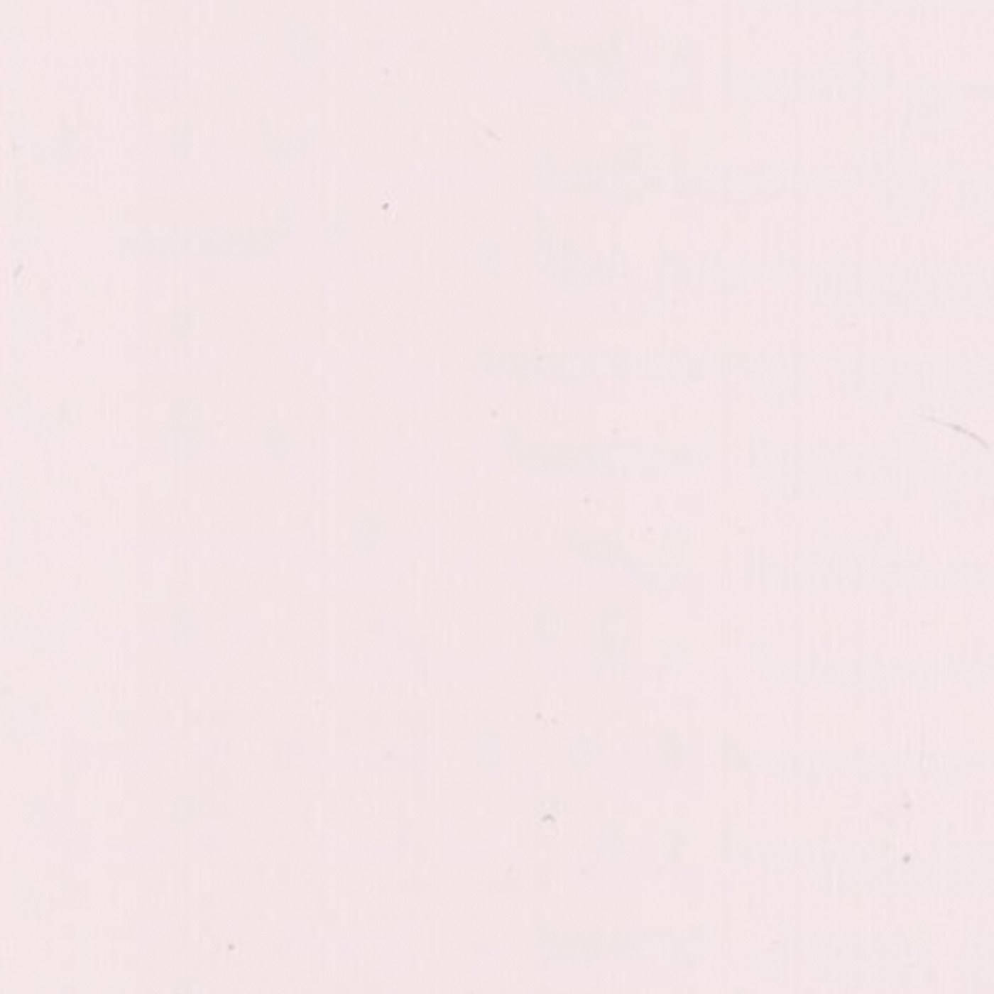 Пленка Пудра вояж 55381