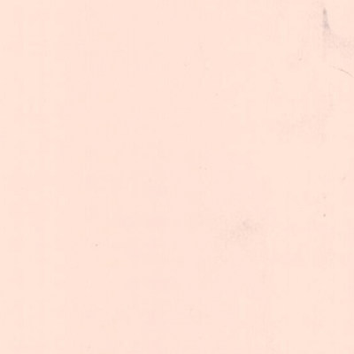 Пленка Пудра бисквит 55379